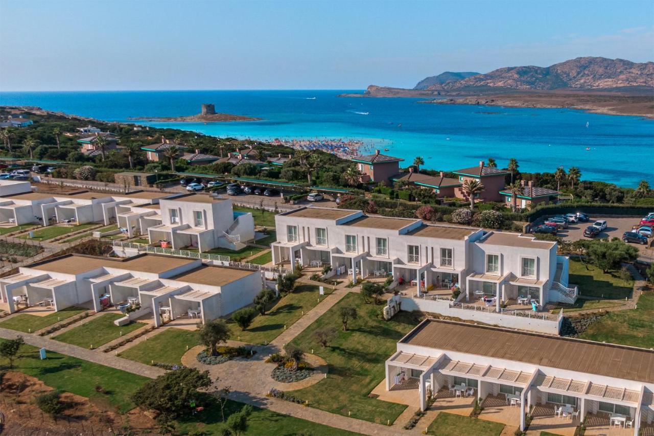 Capo Falcone Charming Apartments Stintino Exteriör bild